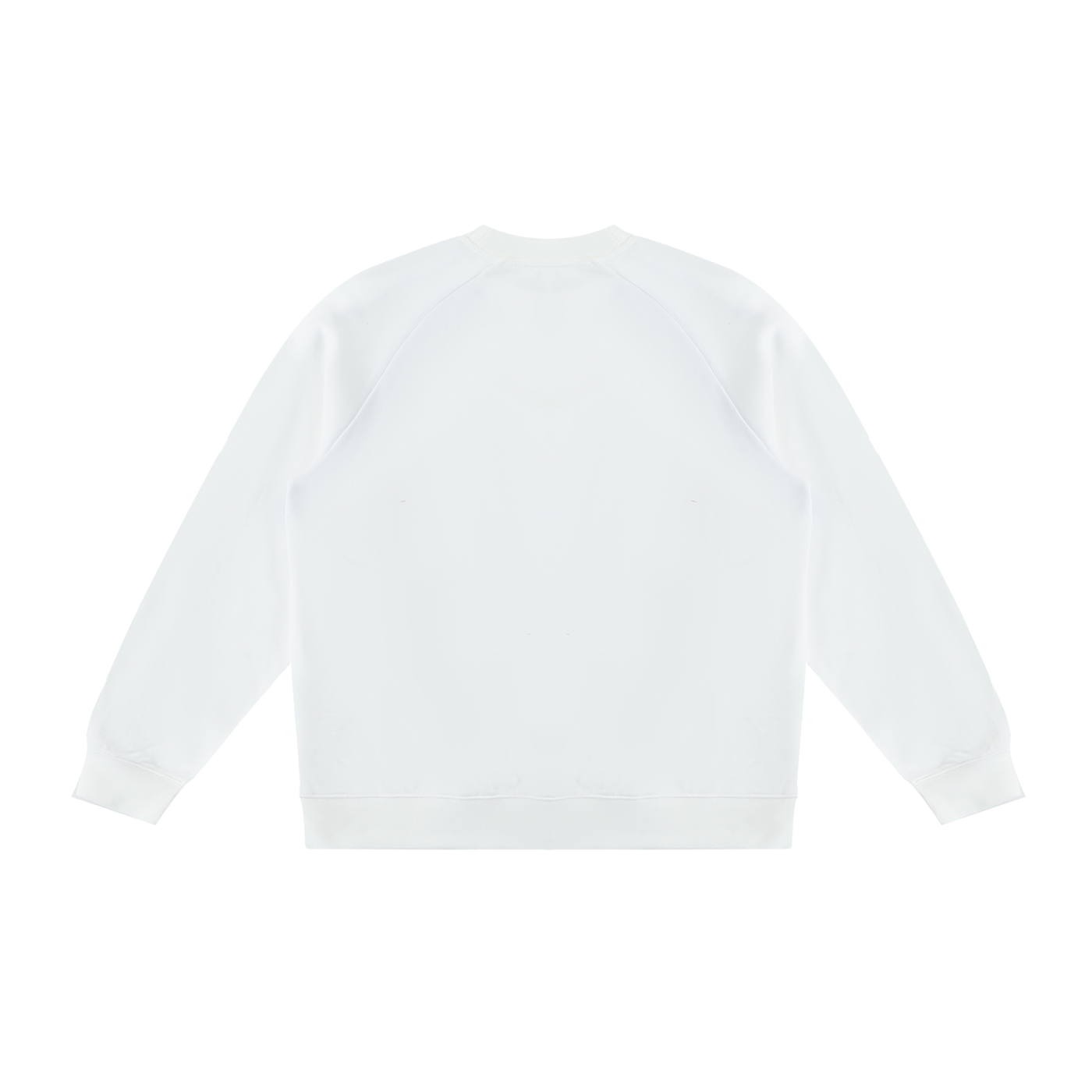 Unisex Color Block Crewneck Sweatshirt